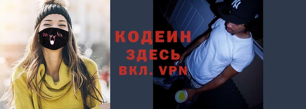 дурь Алексин